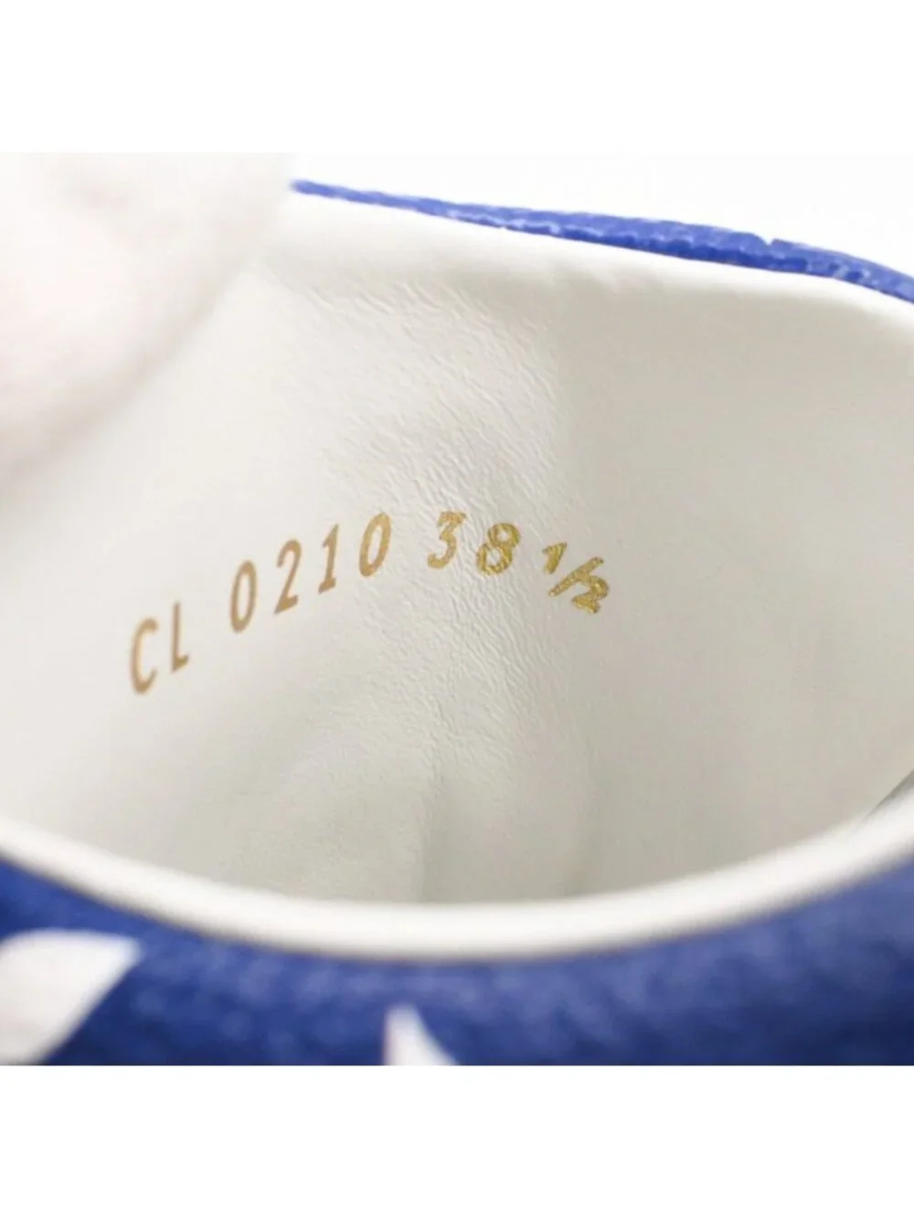 Louis Vuitton item rank
